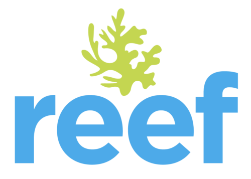 https://mythics.com/wp-content/uploads/2022/04/Icons-About-Us-page-Reef-logo-e1654813084564.png